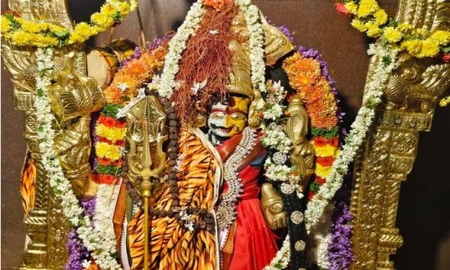 పుంగనూరులో అర్ధనారీశ్వరిగా దర్శనమిచ్చిన అన్నపూర్ణాదేవి